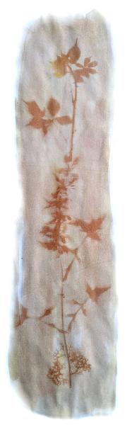 Eco - prints